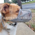 Намордник для собак, серый, сетка плотная, из пластика, дышащая, р. М. отлично подошел биглю - фото 4684